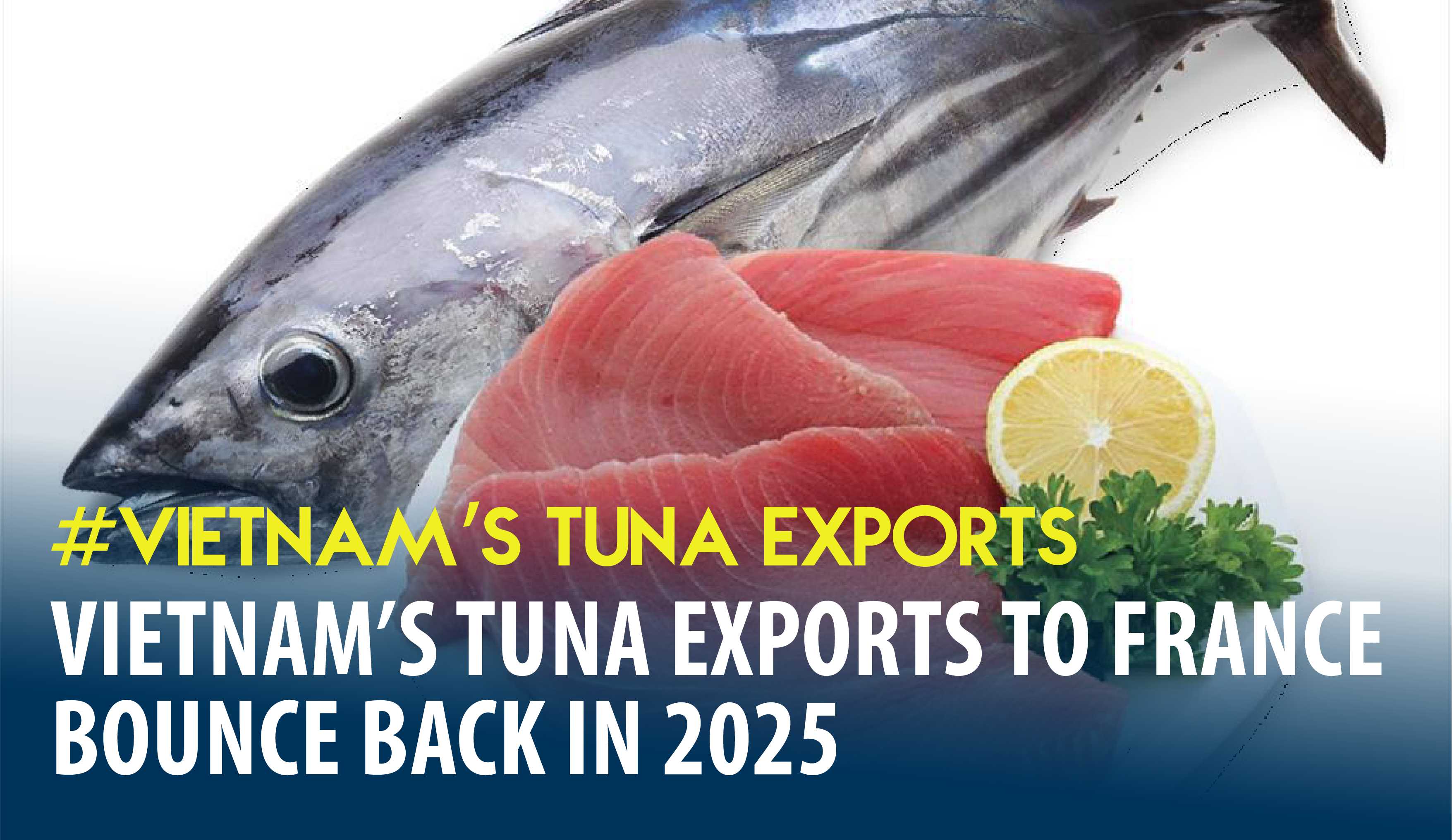 Vietnam’s Tuna Exports to France Bounce Back in 2025