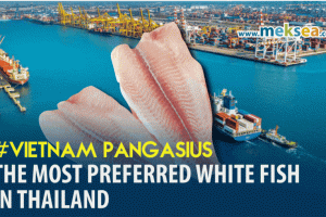 Vietnam Pangasius - The most preferred white fish in Thailand