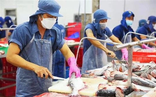 Thailand continues to rank as the fourth largest single-country importer of Vietnamese Pangasius