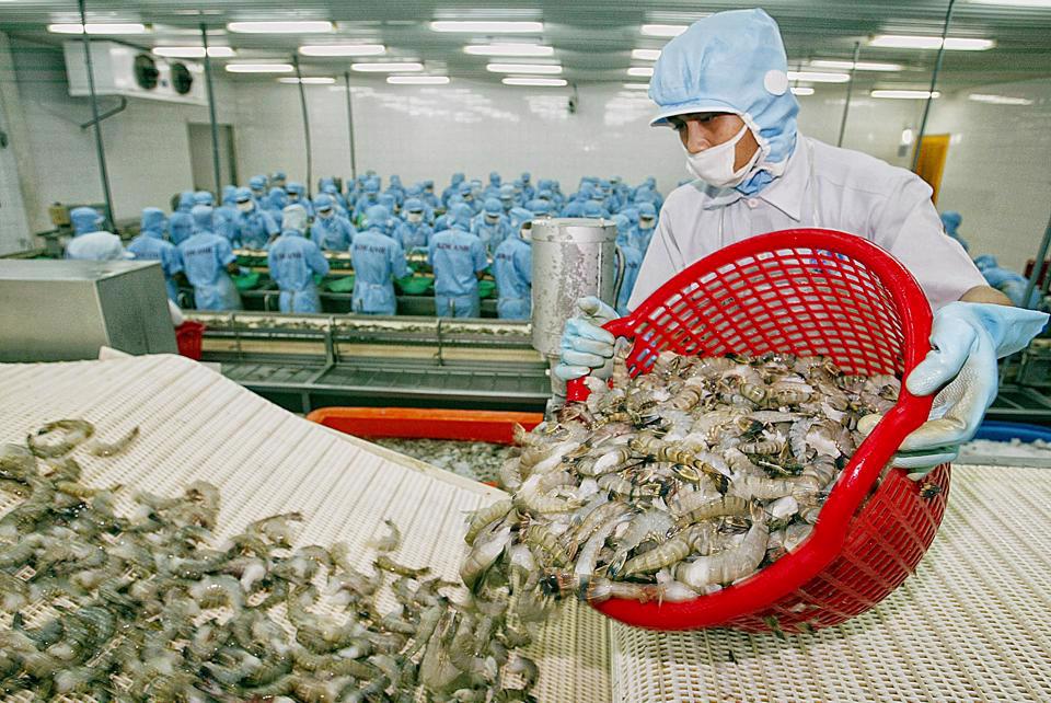 Product Structure and Consumption Trends