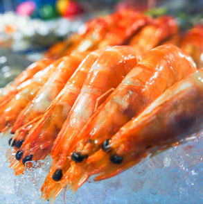 Cooked Head On Shell On Vannamei Shrimp