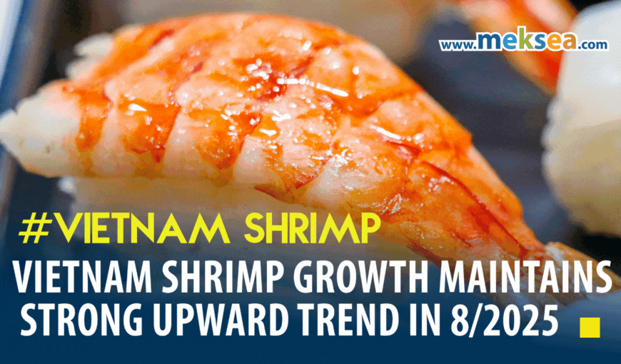 Vietnam shrimp growth maintains strong upward trend in August 2025