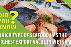 Did you know: Which type of seafood has the highest export value in Vietnam?