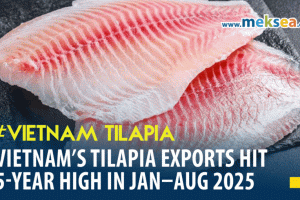 Vietnam’s Tilapia Exports Hit 5-Year High in Jan–Aug 2025