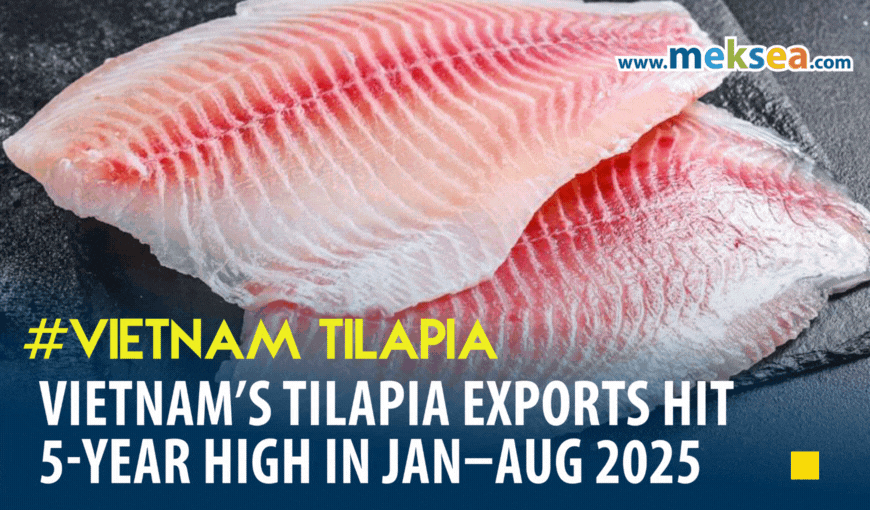 Vietnam’s Tilapia Exports Hit 5-Year High in Jan–Aug 2025