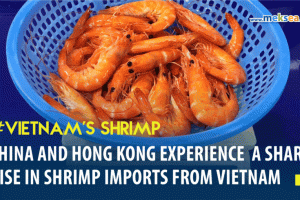 China and Hong Kong experience a sharp rise in shrimp imports from Vietnam
