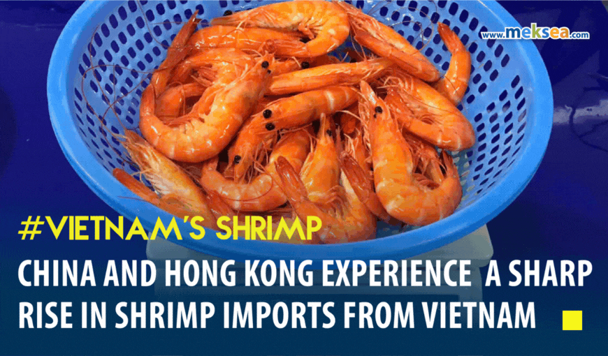 China and Hong Kong experience a sharp rise in shrimp imports from Vietnam