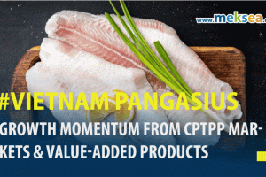 Vietnam Pangasius - Growth Momentum from CPTPP Markets & Value-Added Products
