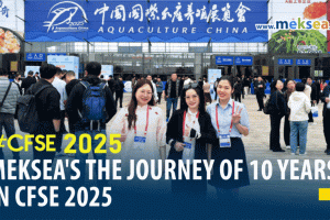 Meksea’s the Journey of 10 Years in CFSE 2025
