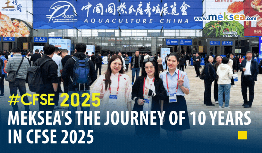 Meksea’s the Journey of 10 Years in CFSE 2025