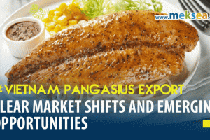 Vietnam Pangasius Export: Clear Market Shifts and Emerging Opportunities