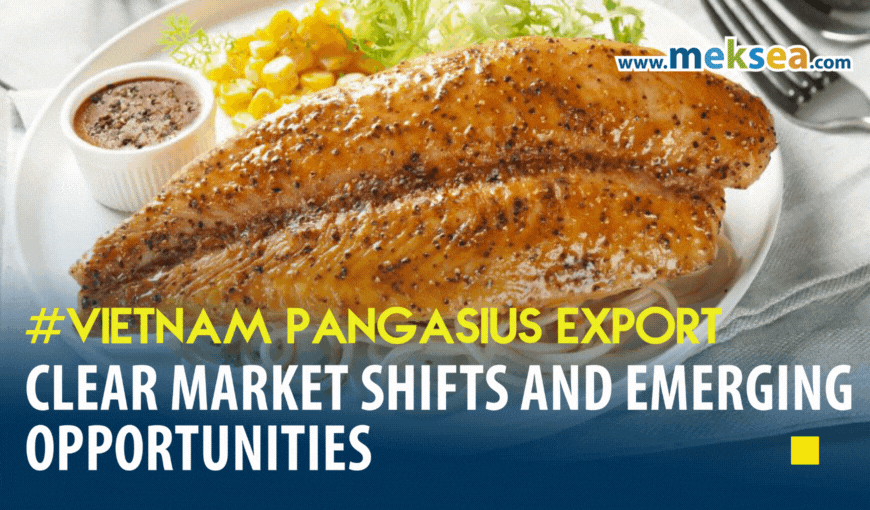 Vietnam Pangasius Export: Clear Market Shifts and Emerging Opportunities