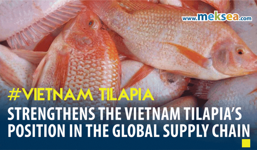 Strengthens the Vietnam tilapia’s position in the global supply chain