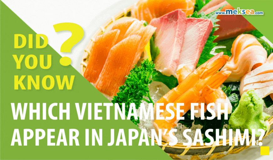 Which Vietnamese fish appear in Japan’s sashimi?