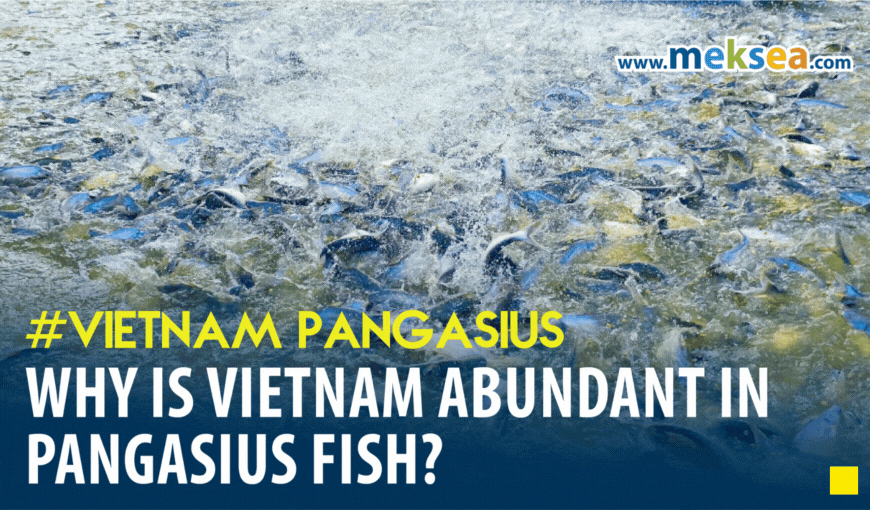 Why is Vietnam abundant in Pangasius fish