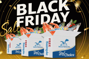 BLACK FRIDAY 2025 - GRAB FULL SEAFOOD CONTAINERS AT A GREAT DEAL