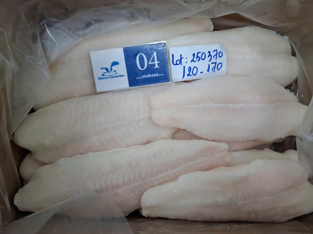Vietnam Pangasius Export Update – October 2025