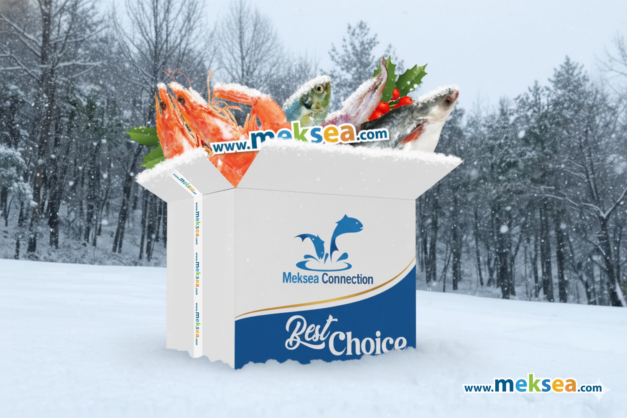 Meksea's Winter Offer