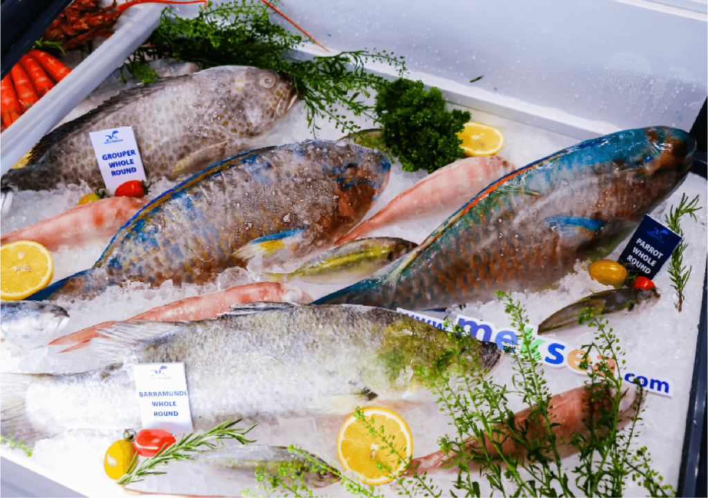 Including pangasius, tilapia, snakehead, catfish, and more - products that have earned Vietnam a leading position in international markets.