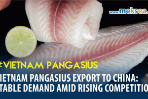 Vietnam Pangasius Export to China: Stable Demand Amid Rising Competition