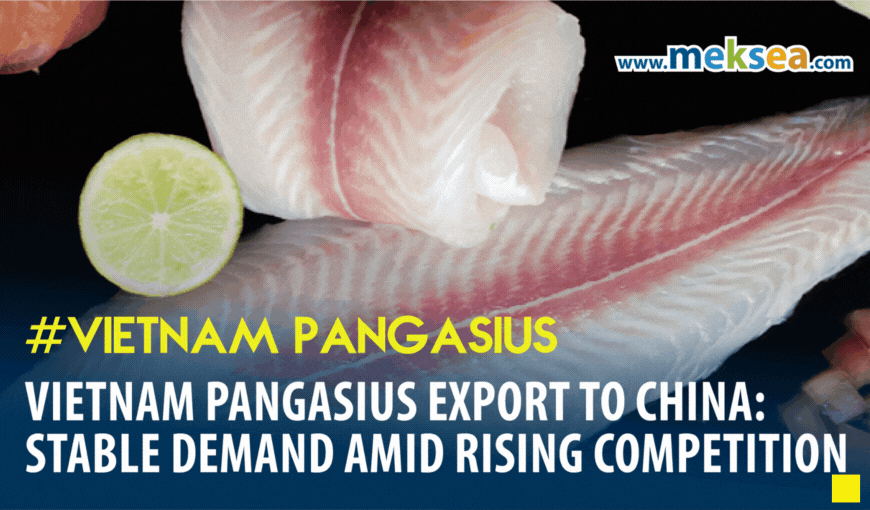 Vietnam Pangasius Export to China: Stable Demand Amid Rising Competition