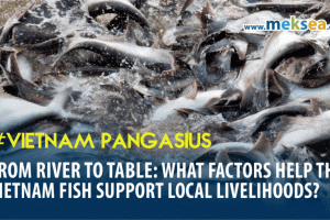From River to Table: What factors help this Vietnam fish support local livelihoods?
