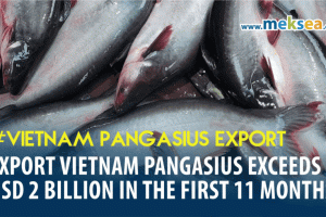 Export Vietnam pangasius exceeds USD 2 billion in the first 11 months