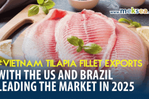 Strong growth in Vietnam tilapia fillet exports, with the US and Brazil leading the market in 2025