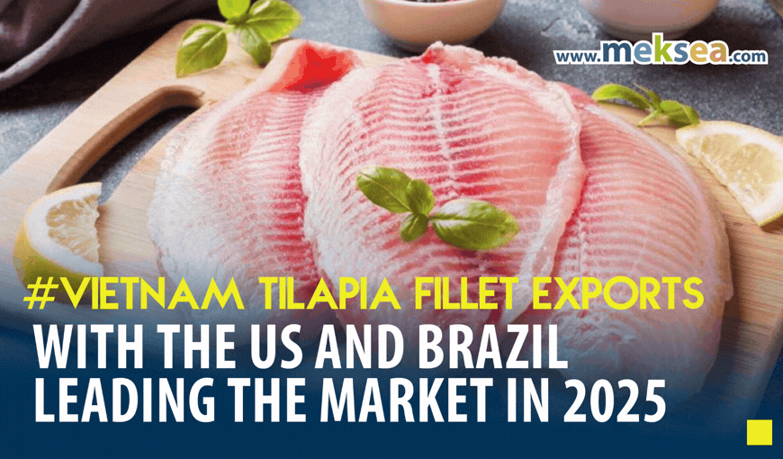 Strong growth in Vietnam tilapia fillet exports, with the US and Brazil leading the market in 2025