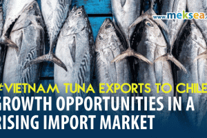 Vietnam Tuna Exports to Chile: Growth Opportunities in a Rising Import Market