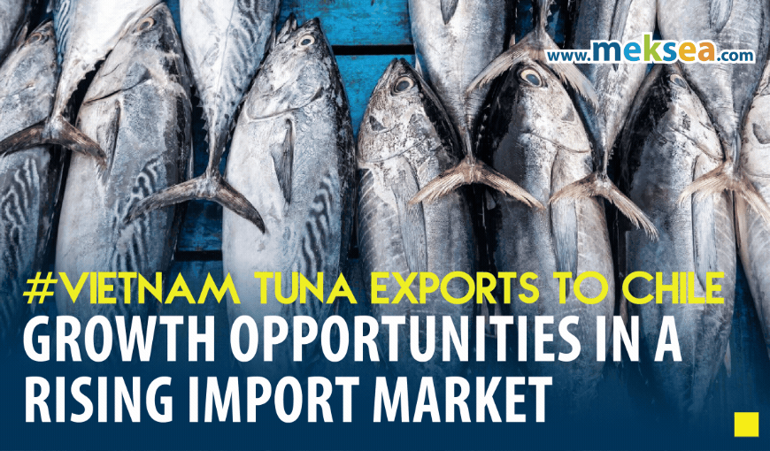 Vietnam Tuna Exports to Chile: Growth Opportunities in a Rising Import Market