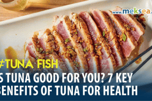 Is tuna good for you? 7 key benefits of tuna for health