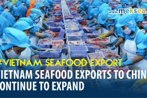 Vietnam Seafood Exports to China Continue to Expand