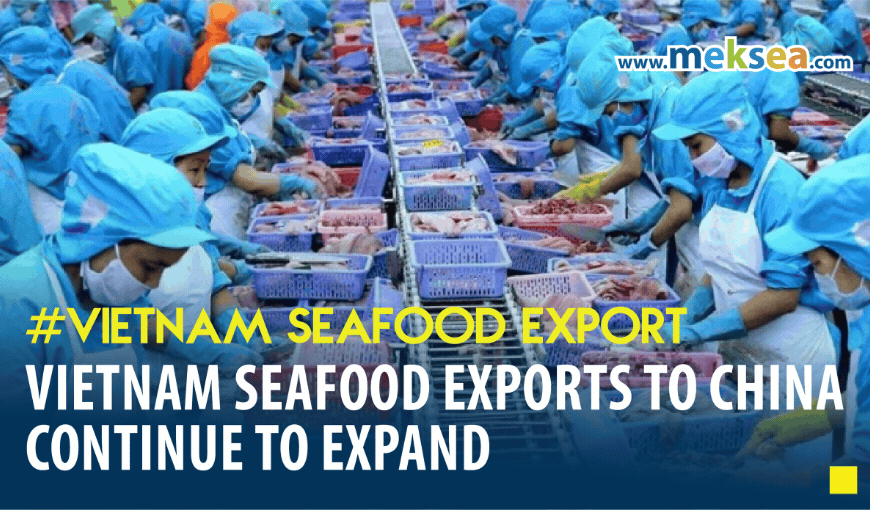 Vietnam Seafood Exports to China Continue to Expand
