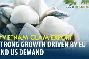 Vietnam Clam Exports 2026 Strong Growth Driven by EU and US Demand