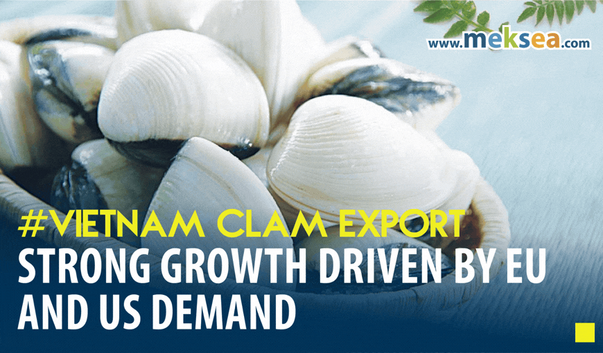 Vietnam Clam Exports 2026 Strong Growth Driven by EU and US Demand