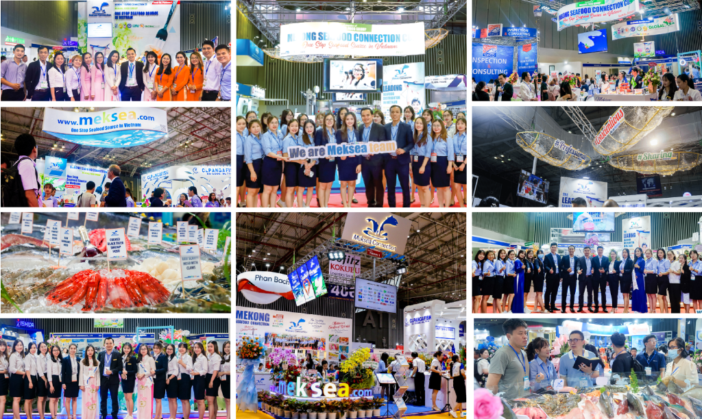 Meksea’s Journey at Vietfish Expo Over 1 Decade