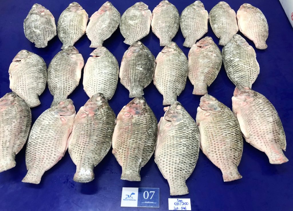 Vietnam Tilapia Export Rockets 92% in April and 151% for first four months of 2026