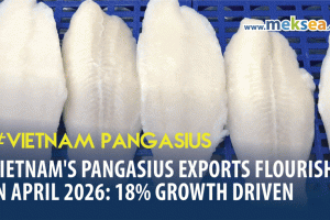 Vietnam's Pangasius Exports Flourish in April 2026: 18% Growth Driven