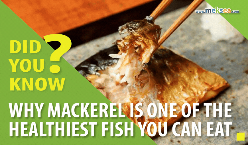 Did You Know: Why Mackerel Is One of the Healthiest Fish You Can Eat?