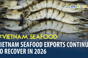 Vietnam Seafood Exports Continue to Recover in 2026