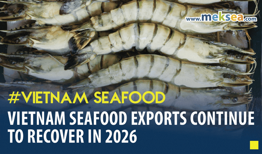 Vietnam Seafood Exports Continue to Recover in 2026