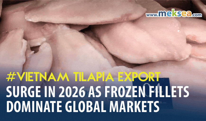 Vietnam Tilapia Exports Surge in 2026 as Frozen Fillets Dominate Global Markets