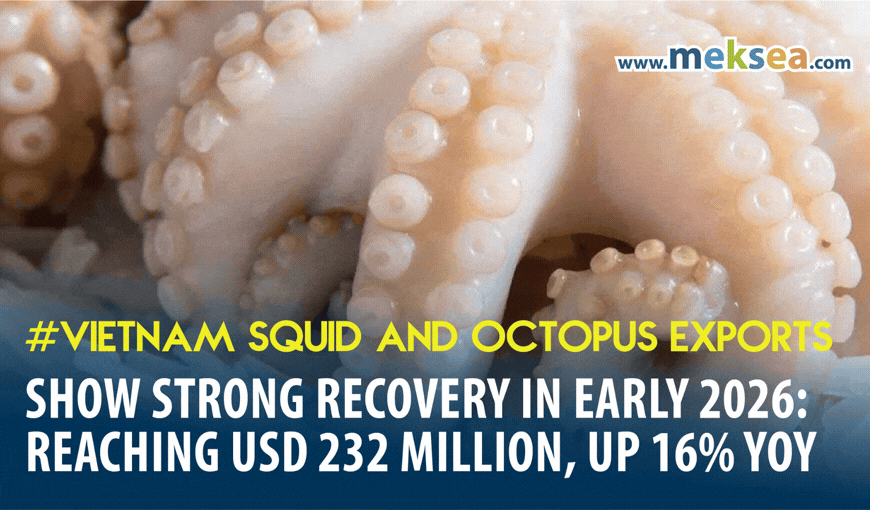 Vietnam Squid and Octopus Exports show strong recovery in early 2026: Reaching USD 232 million, up 16% year-on-year