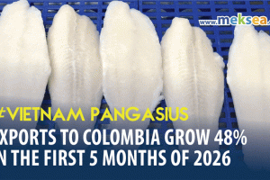 Vietnam Pangasius Exports to Colombia Grow 48% in 2026