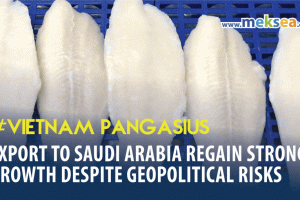 Vietnam Pangasius Exports to Saudi Arabia Regain Strong Growth Despite Geopolitical Risks