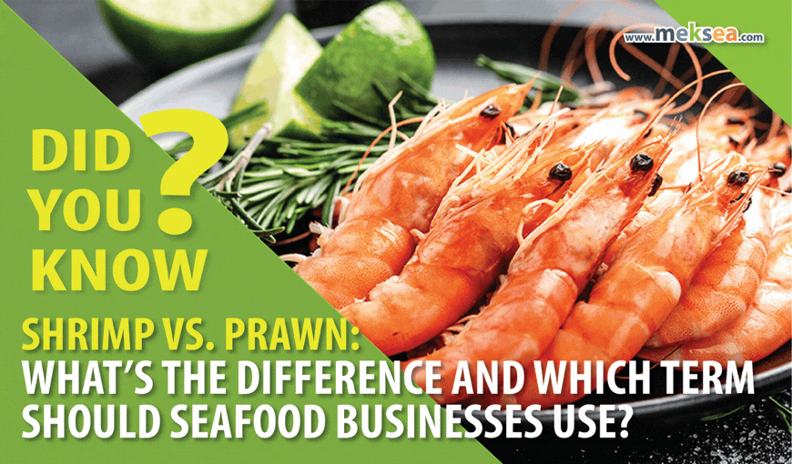 Shrimp vs. Prawn: What’s the Difference and Which Term Should Seafood Businesses Use?